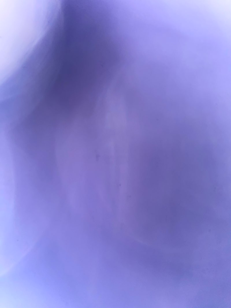 walking near me in Bishop Park in autumn