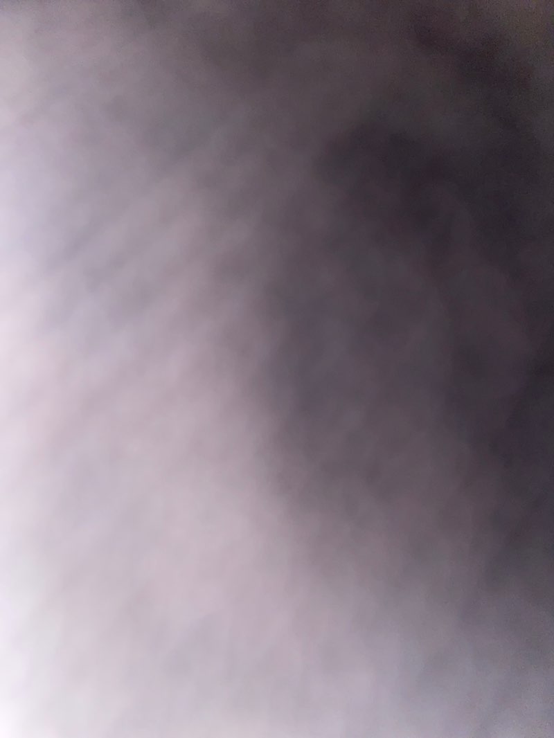 walking near me in Waihora Park in autumn