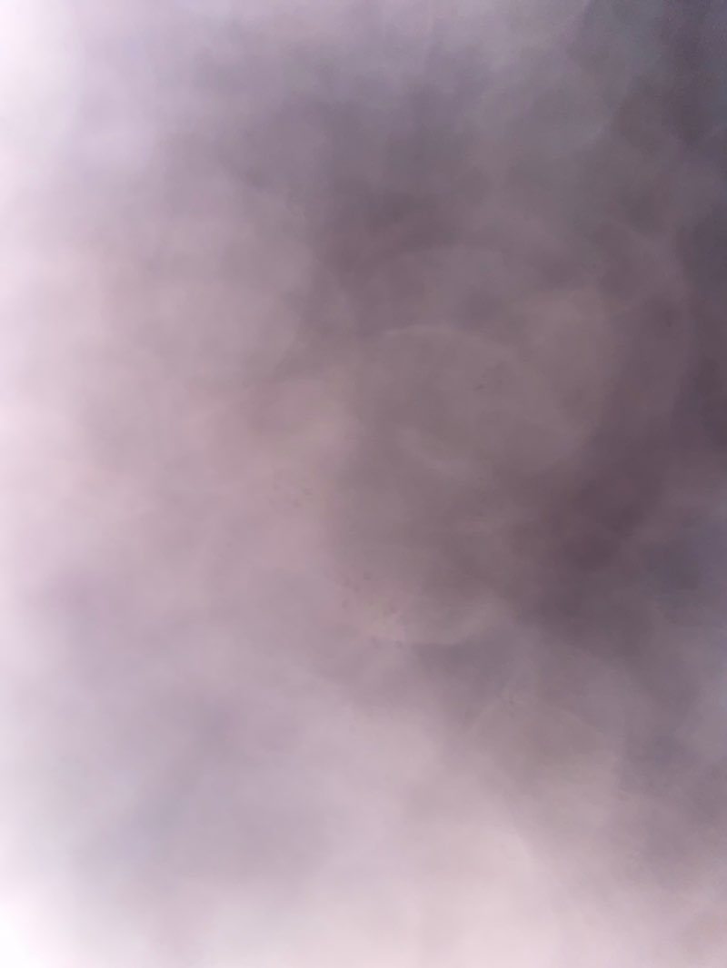 walking near me in Rata Park in autumn