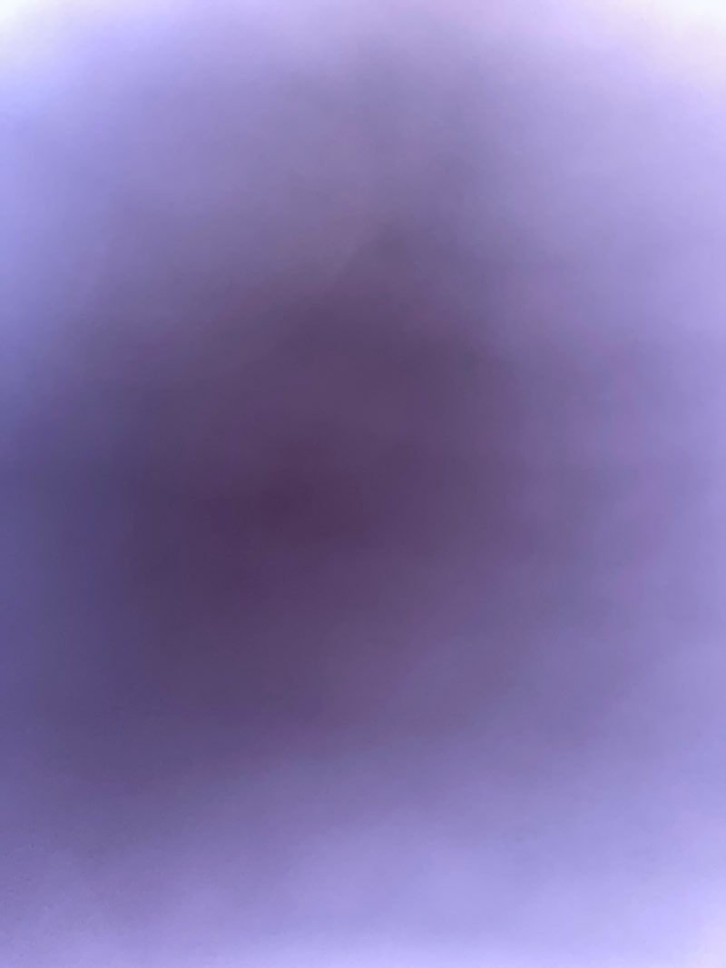 walking near me in Carrington Park in autumn