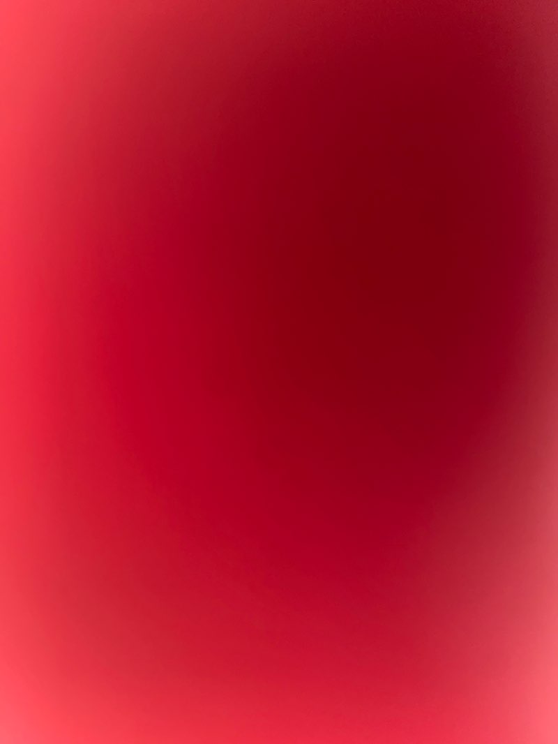 walking near me in Nelly Jull Park in autumn