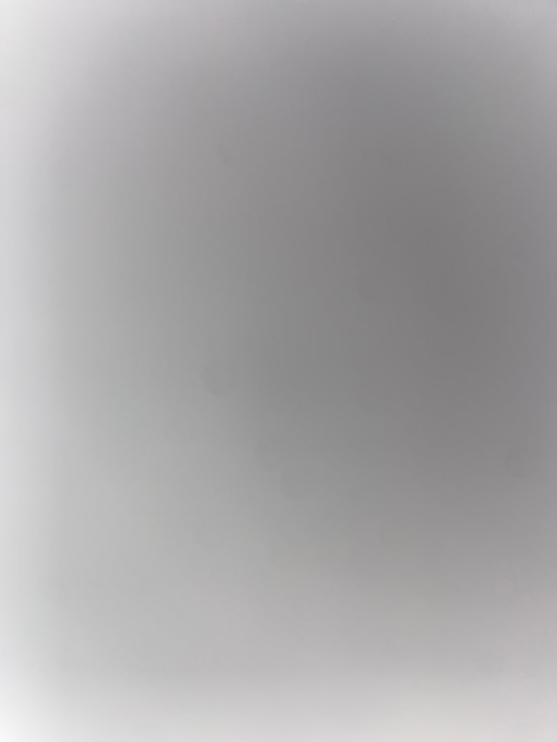 walking near me in Te Maire Park in autumn