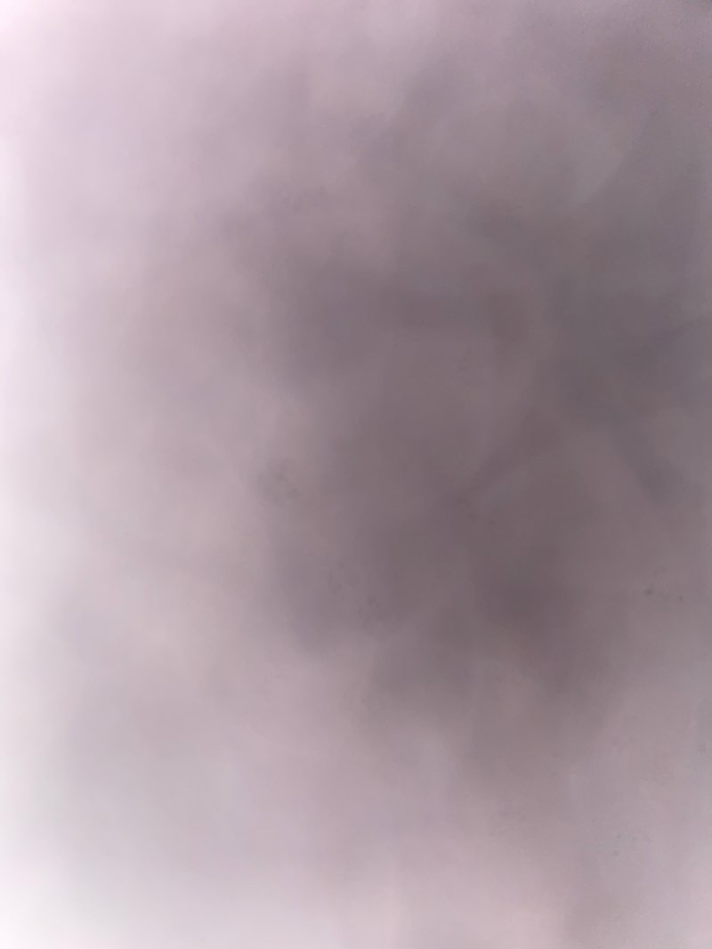 walking near me in Chatterton Park in autumn