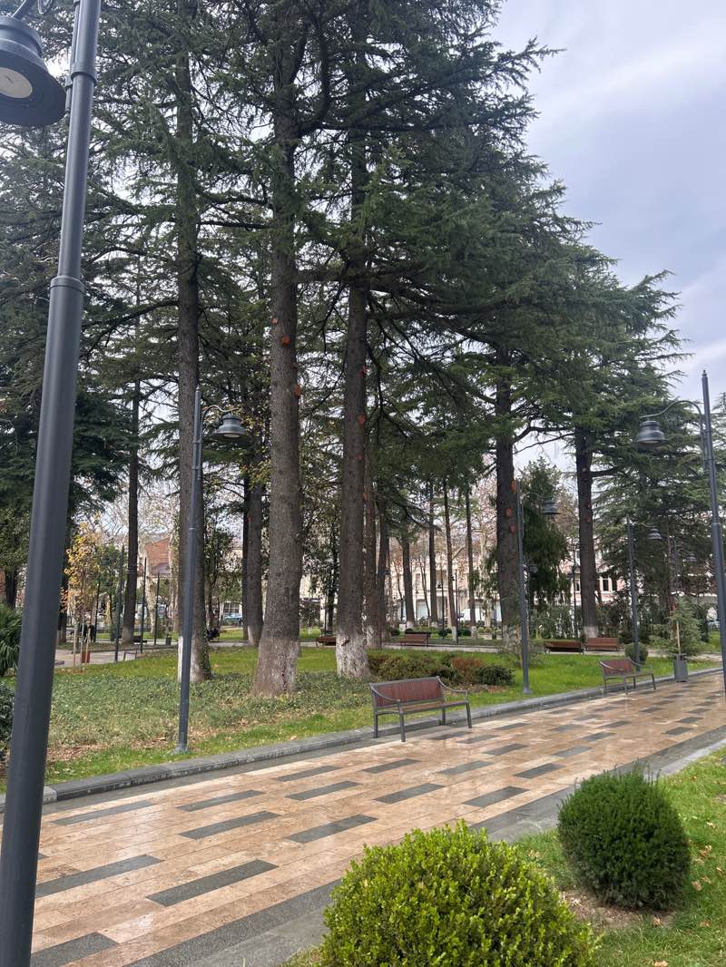 walking near me in Central Garden "Boulevard" in winter