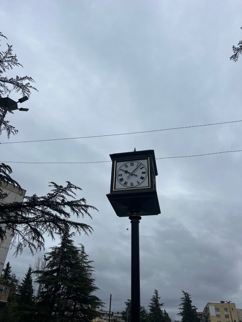 walking near me in კიკვიძის პარკი in winter