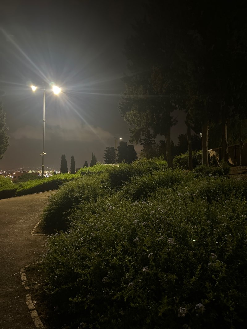 walking near me in גן הזיכרון in spring