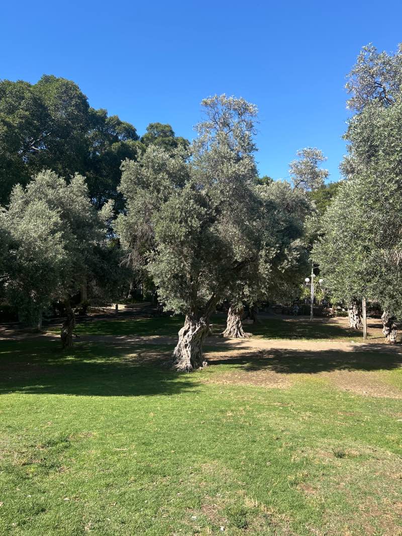 walking near me in גן בנימין in spring