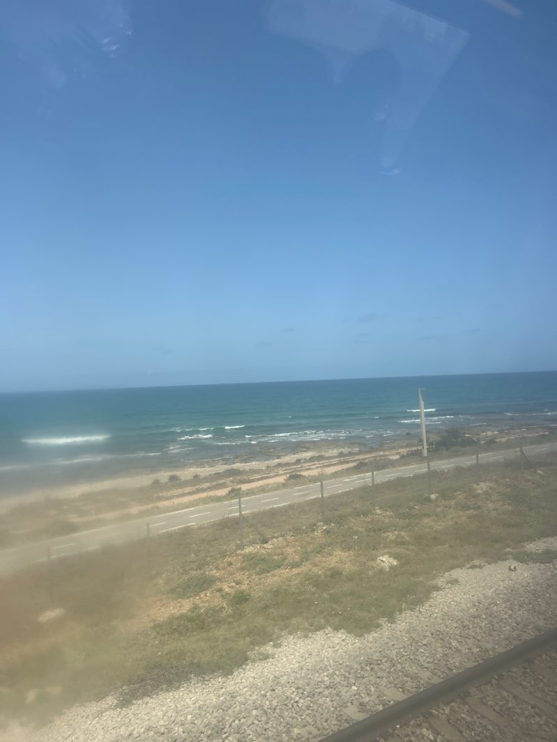 walking near me in Shikmona park in summer