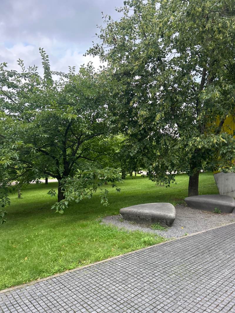 walking near me in Č. Sugiharos sakurų parkas in autumn