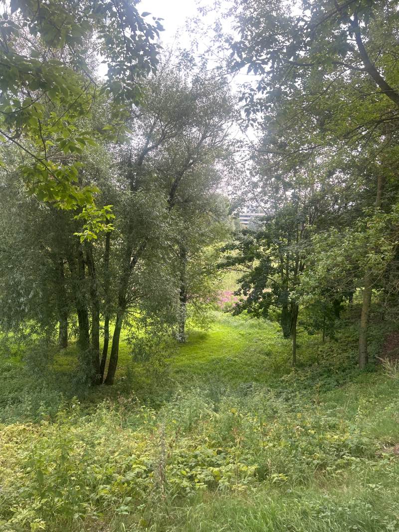 walking near me in Ozo parkas in autumn