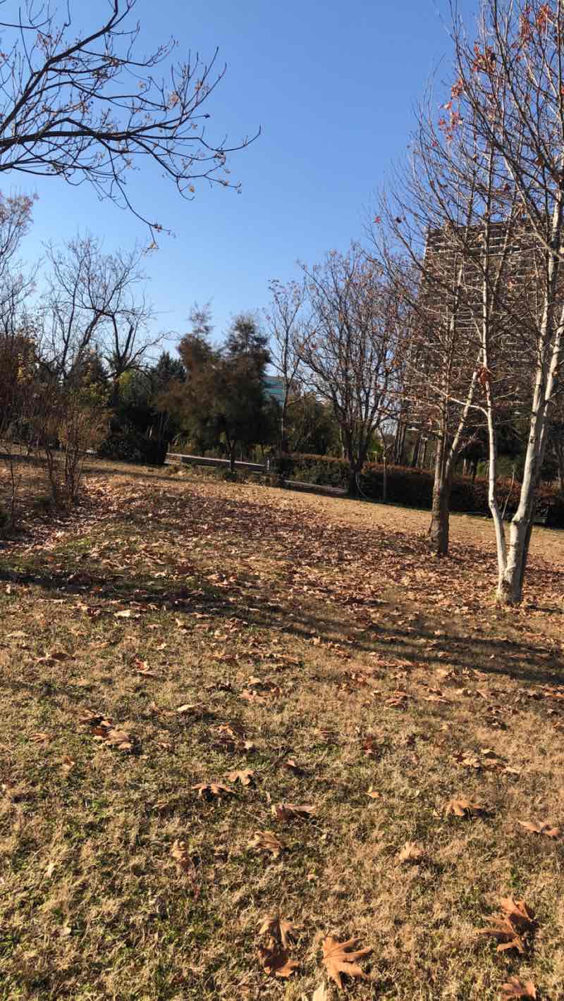 walking near me in Minaret Park in winter