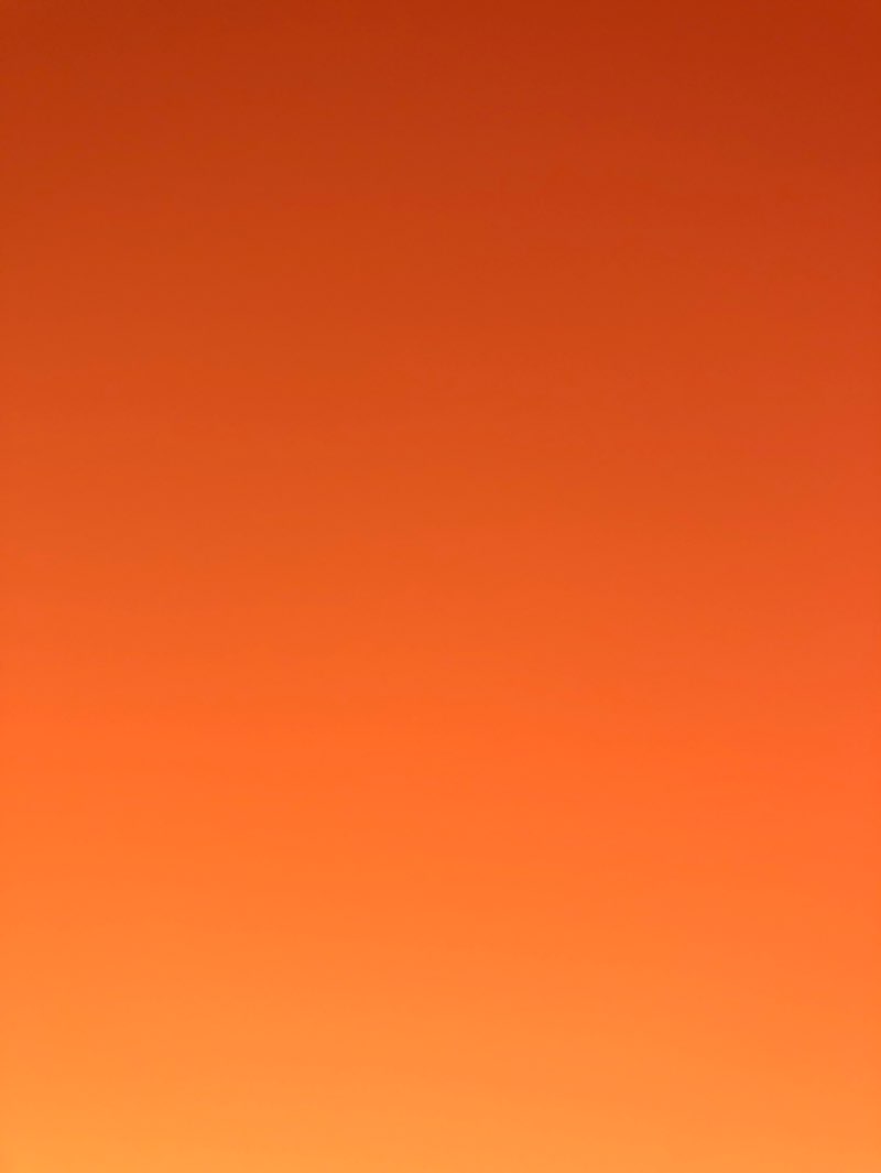 walking near me in باخچەی برایەتی in winter