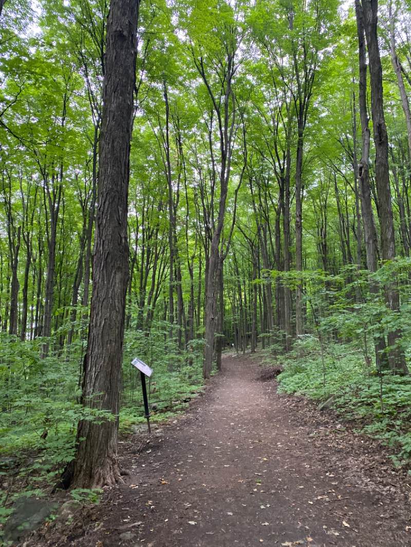walking near me in Parc Chartier-De Lotbinière in winter