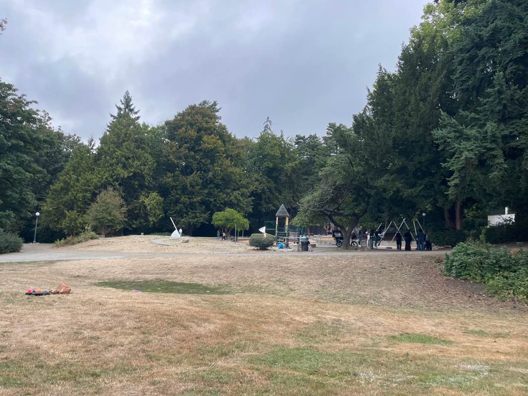 walking near me in Cowen Park in autumn