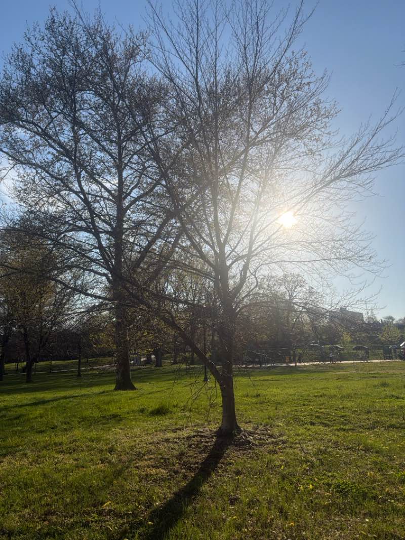 walking near me in Cool Springs East Park in spring