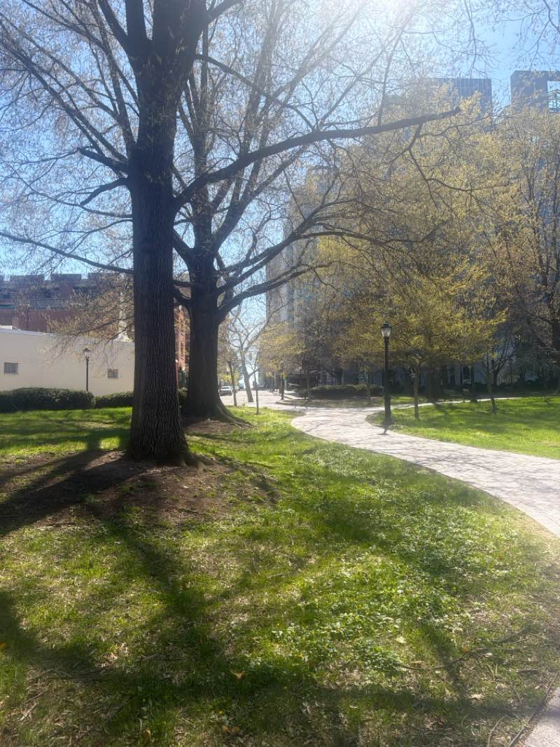 walking near me in Riverwalk in spring