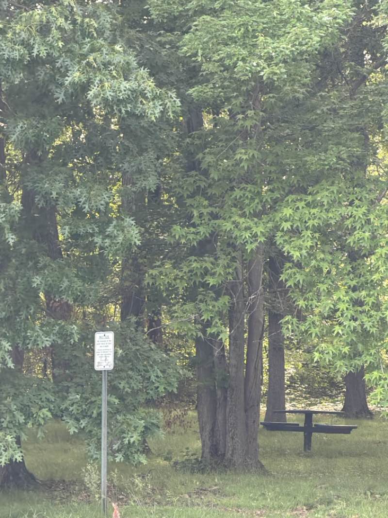 walking near me in Vilone Park in summer