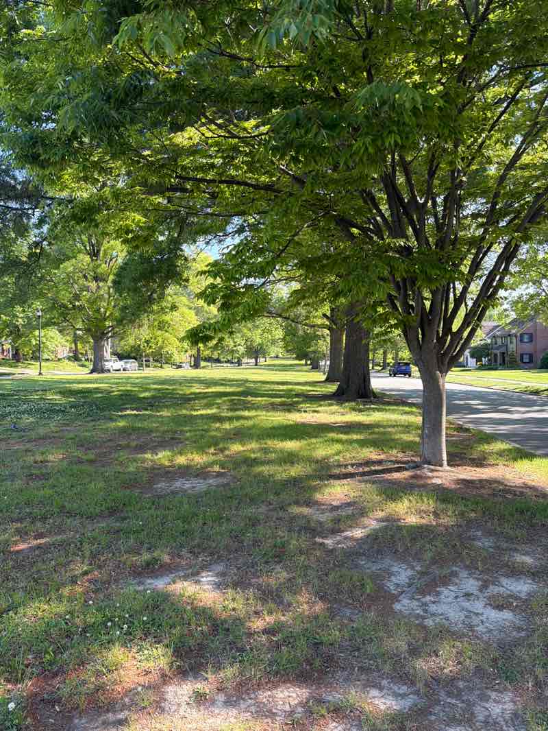 walking near me in Holden Parkway in spring