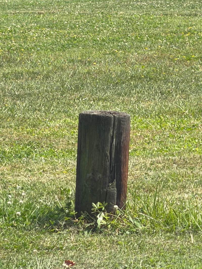 walking near me in joseph r. walling park in summer