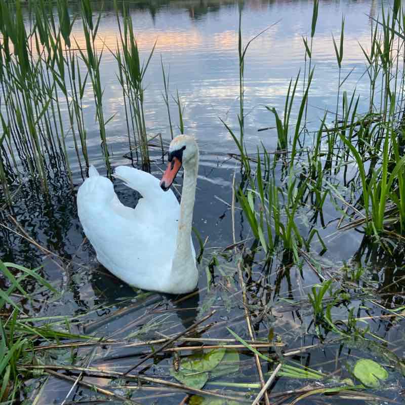 Вера Юргель post 1