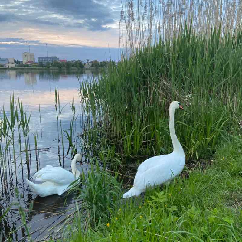 Вера Юргель post 2