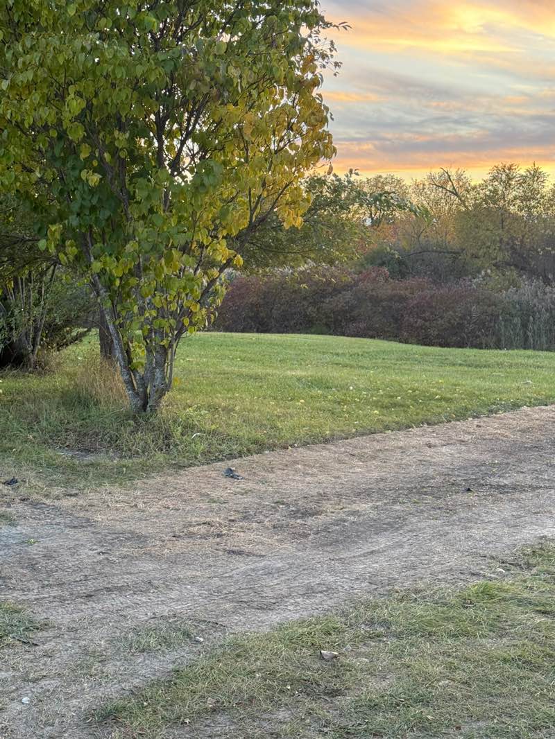 walking near me in Bode Detention in autumn