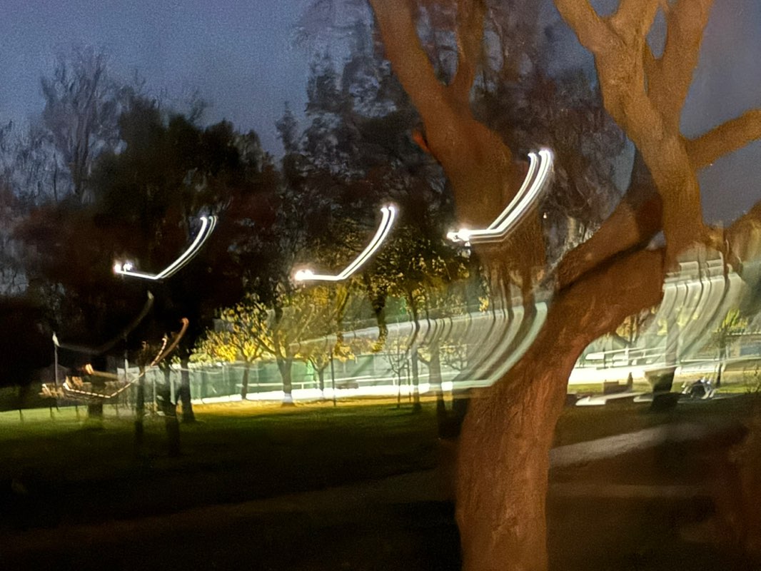 walking near me in Joseph L. Fabbrini Park in autumn
