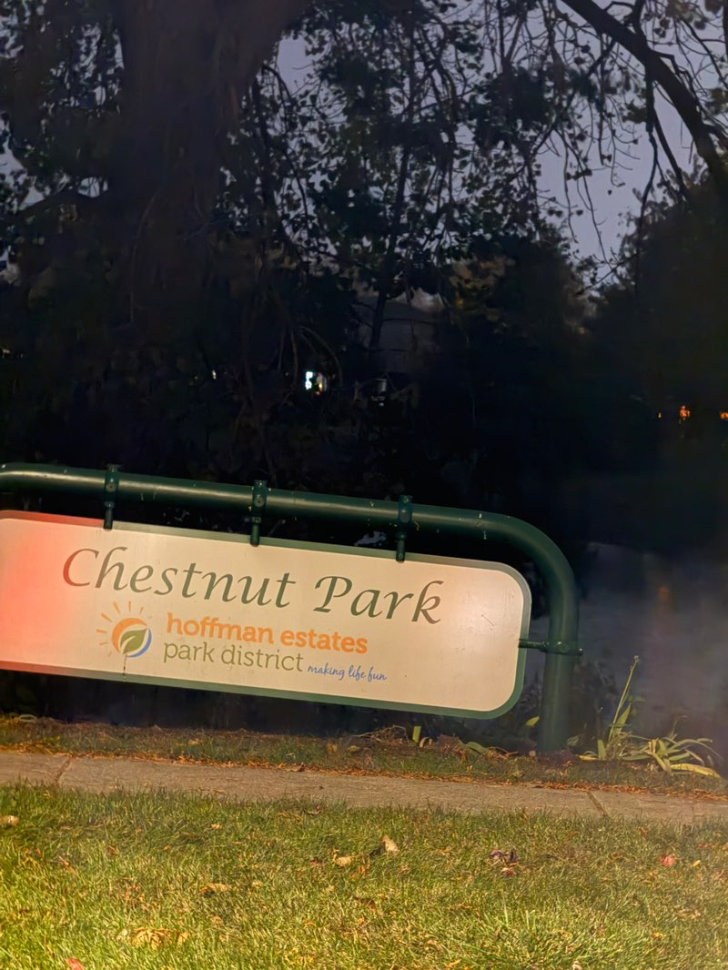 walking near me in Chestnut Park in autumn