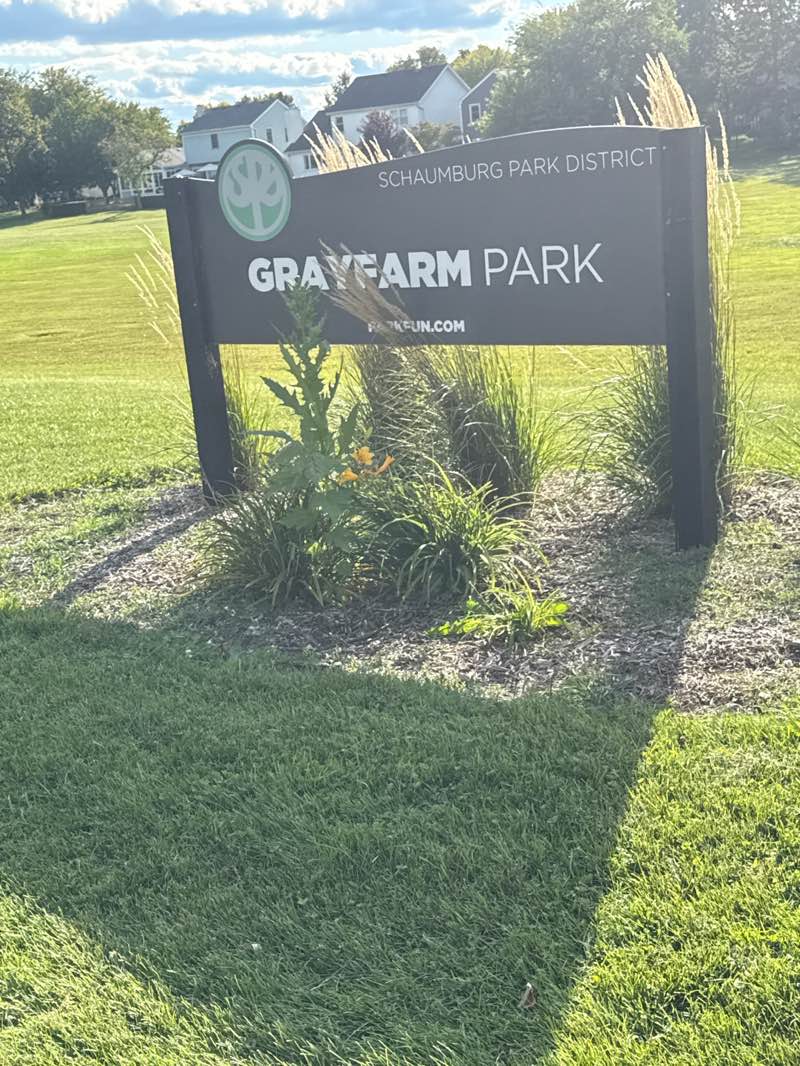 walking near me in Gray Farm Park in autumn