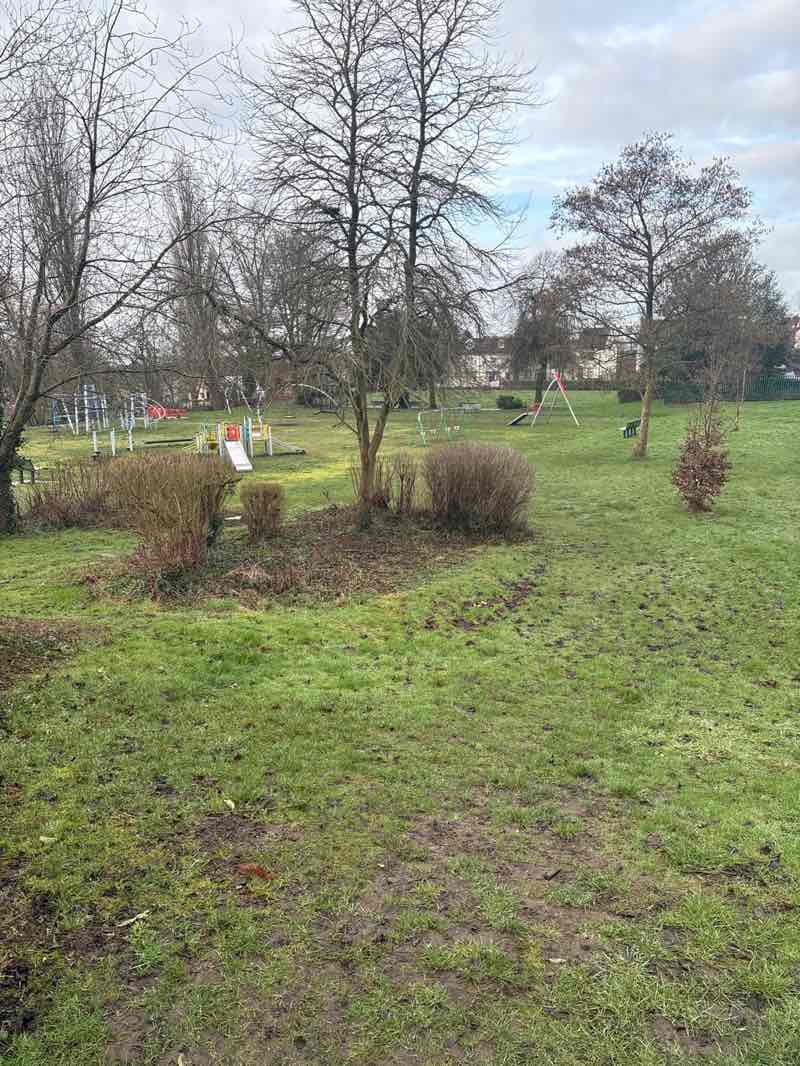 walking near me in Welfare Park in winter