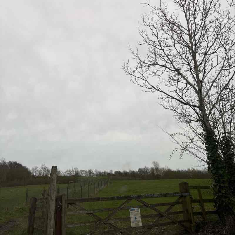 stephengeorgeraby post 1