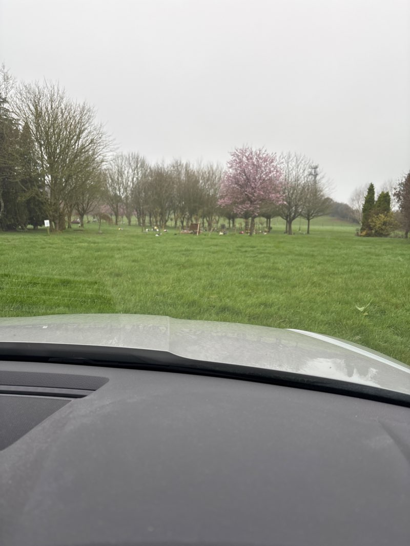 walking near me in Telford Crematorium Gardens of Remembrance in spring