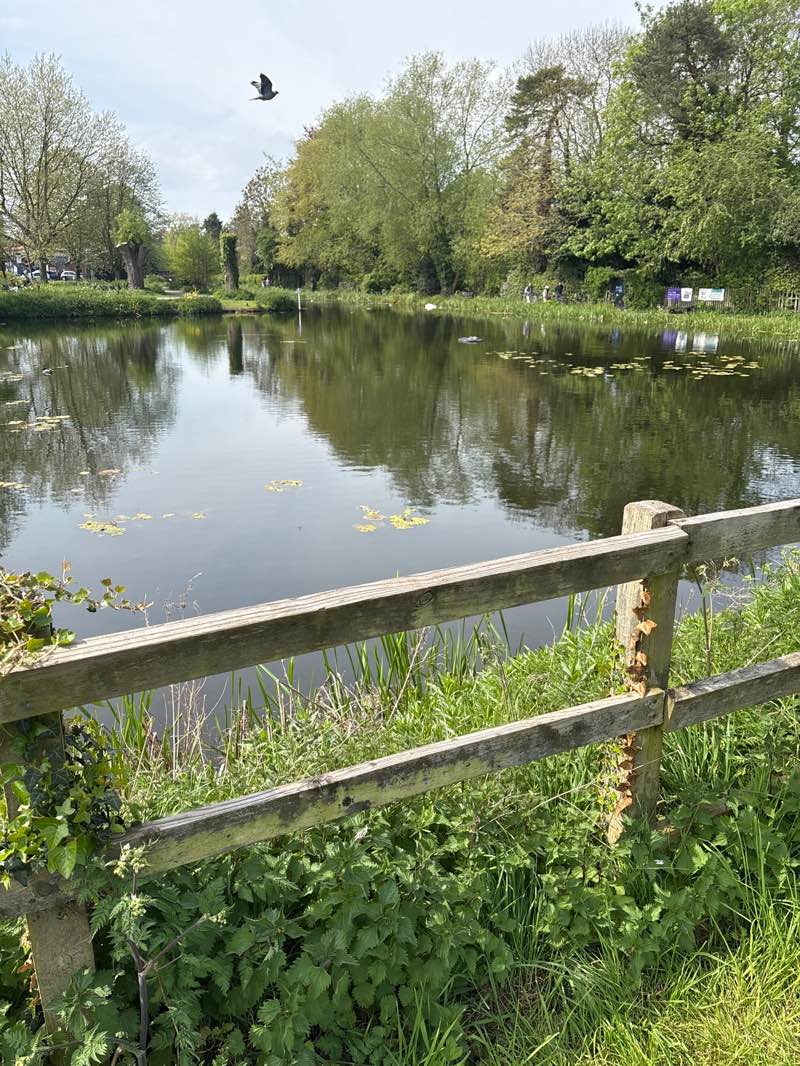 walking near me in Victoria Park in spring