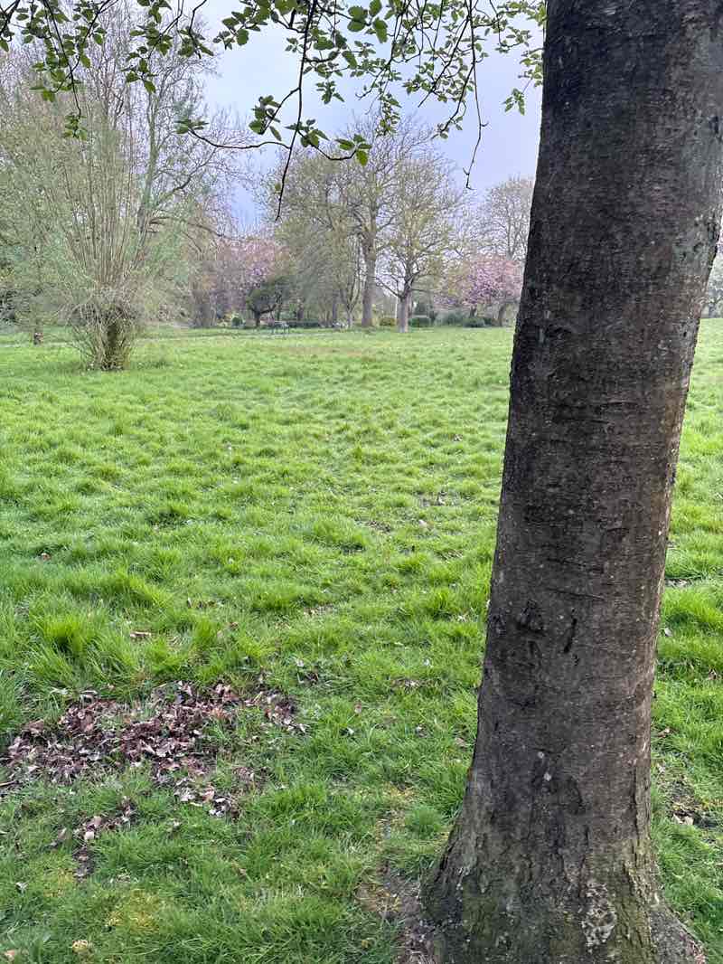 walking near me in Fenton Park in spring