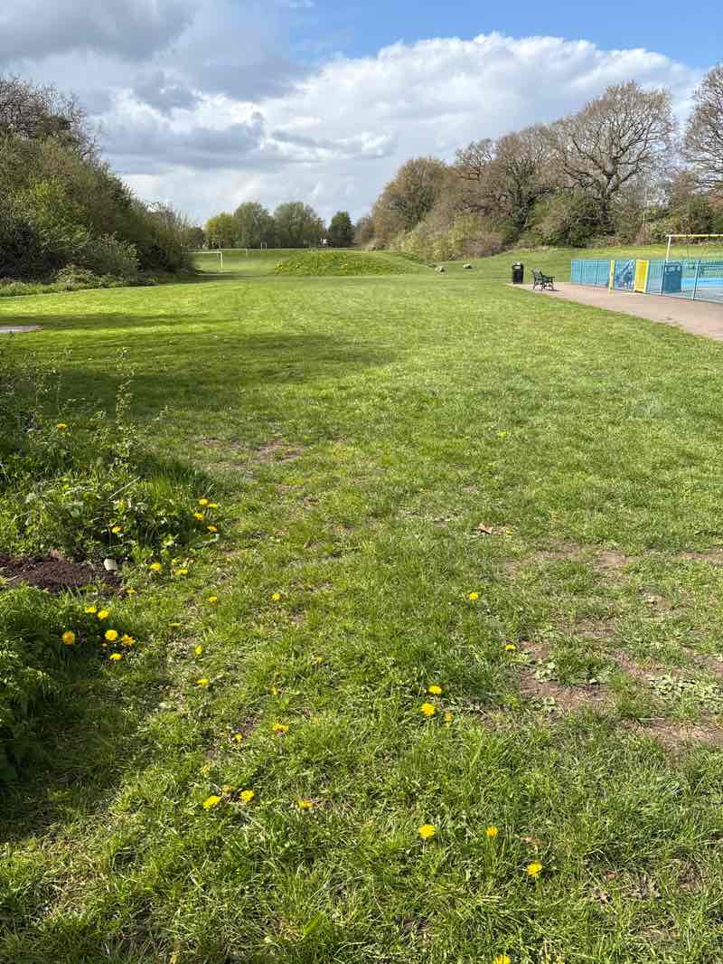 walking near me in Windsor Avenue Playing Fields in spring