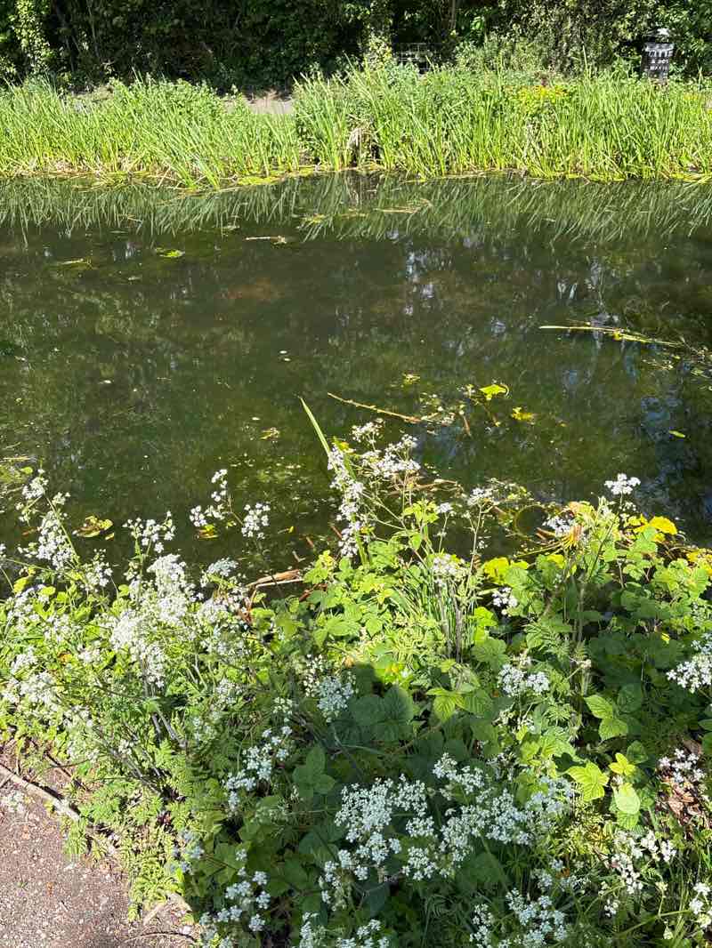 walking near me in Victoria Park in spring