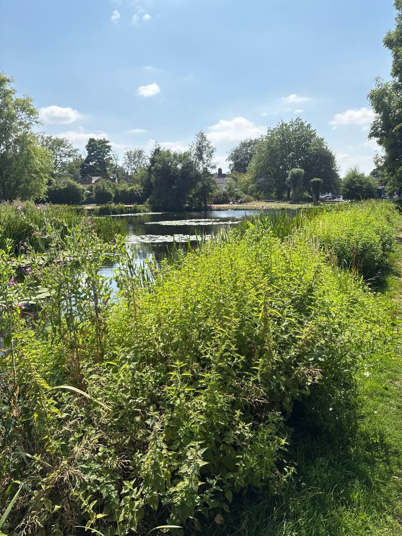 walking near me in Victoria Park in summer