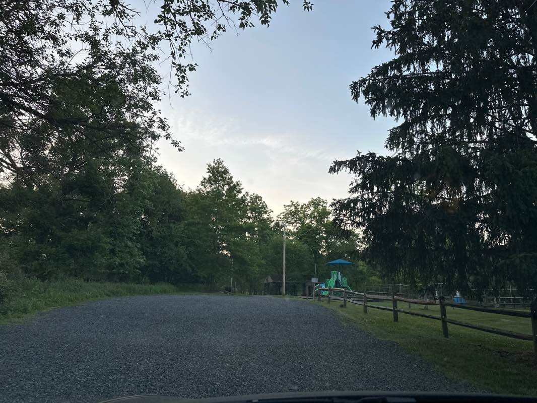 walking near me in Tuccamirgan Park in summer
