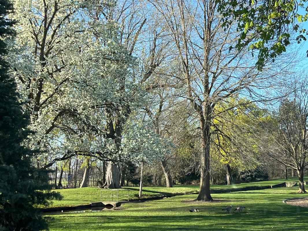 walking near me in Jefferson Park in spring