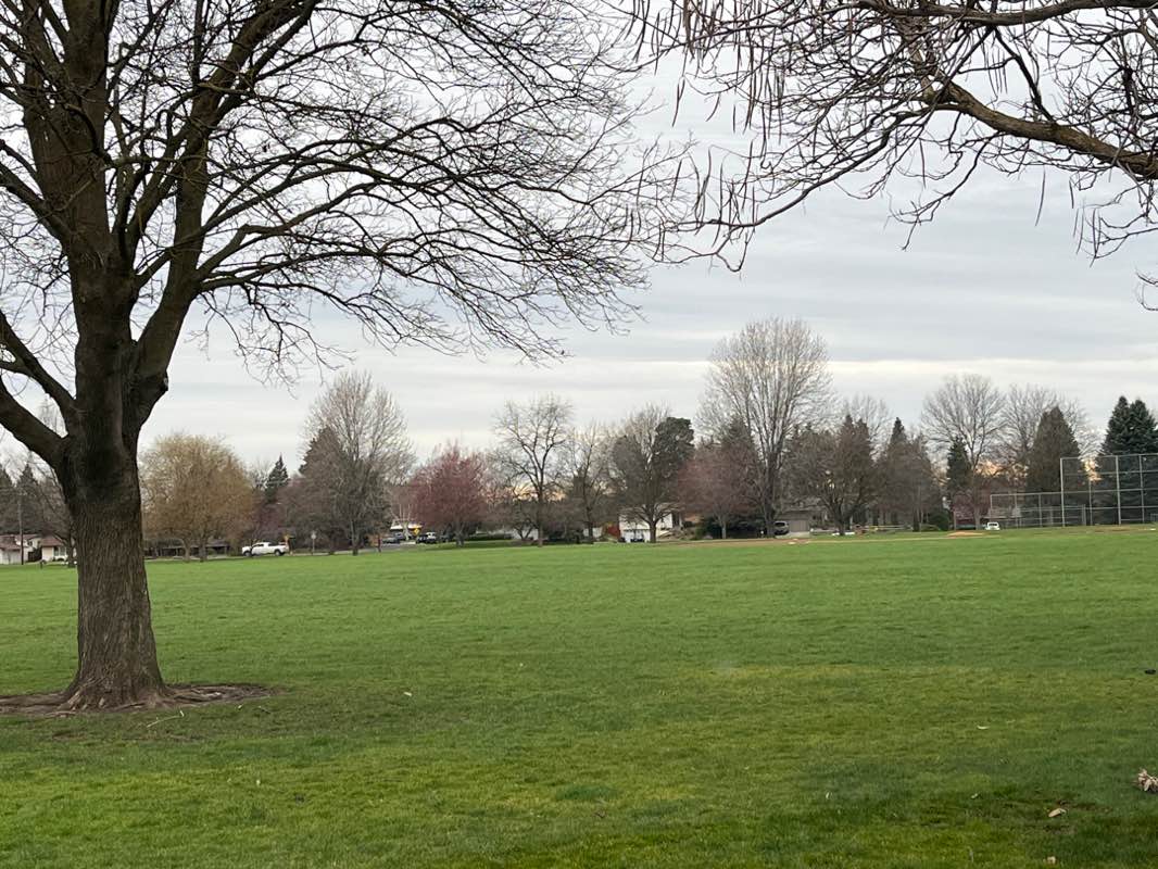 walking near me in Tietan Park in spring