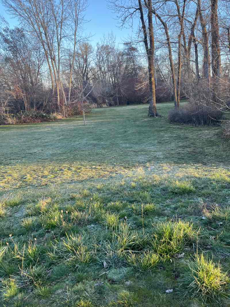 walking near me in Rooks Park in spring