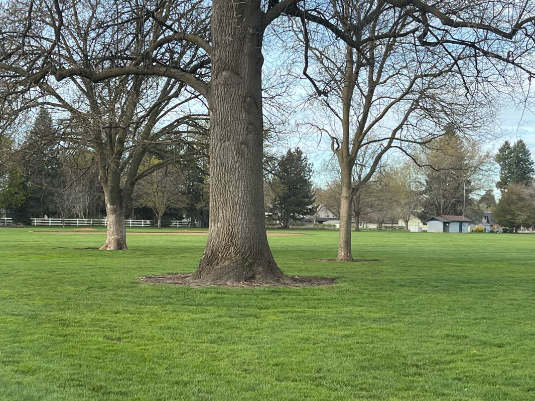 walking near me in Tietan Park in spring