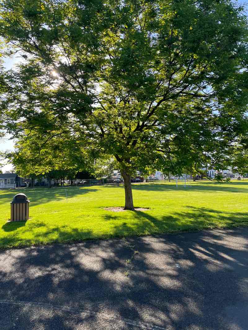 walking near me in Washington Park in spring