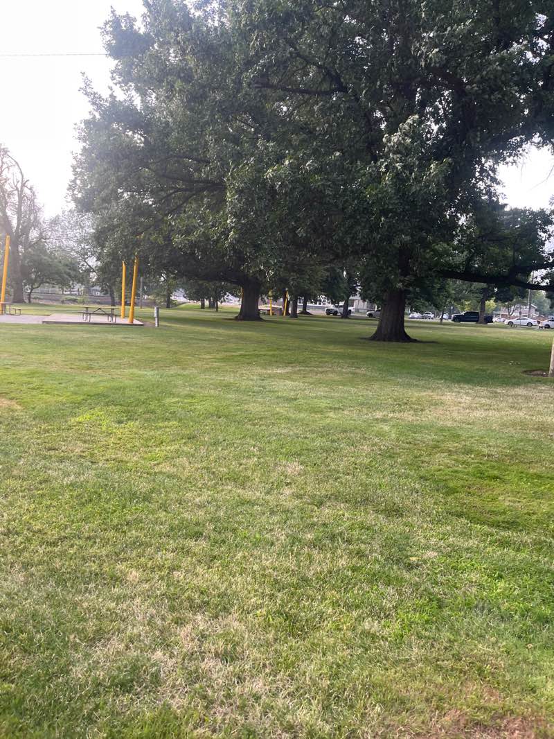 walking near me in Washington Park in summer