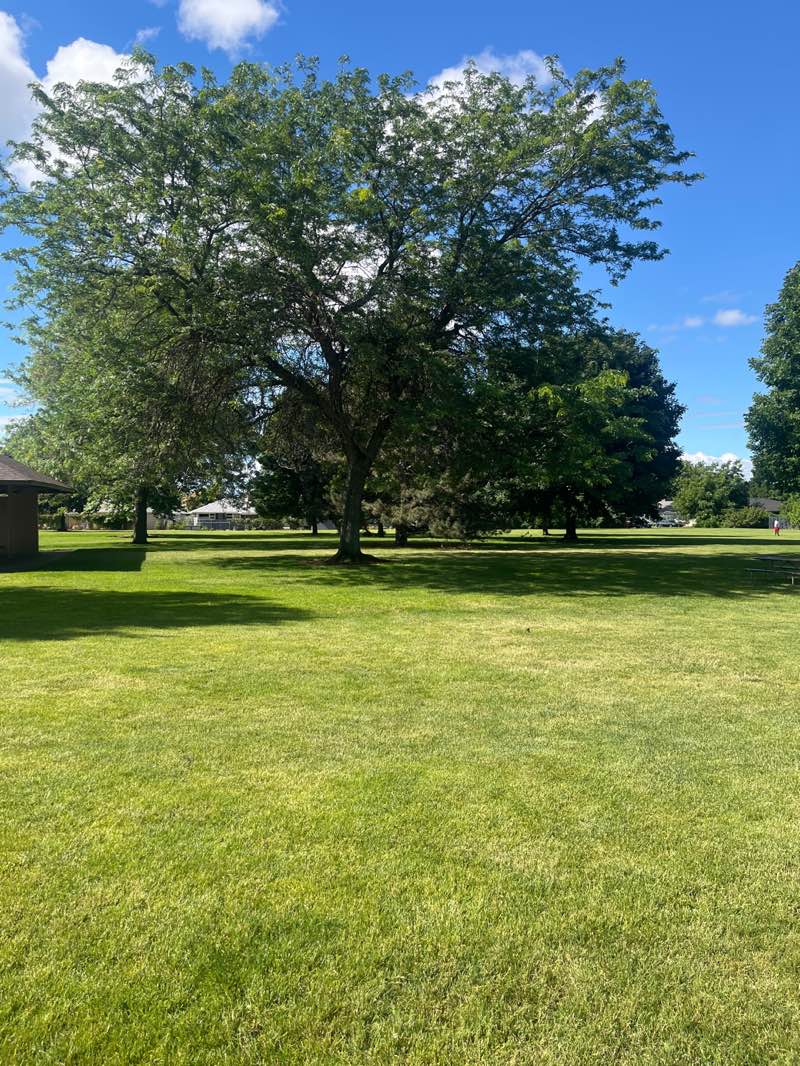 walking near me in Lions Park in summer