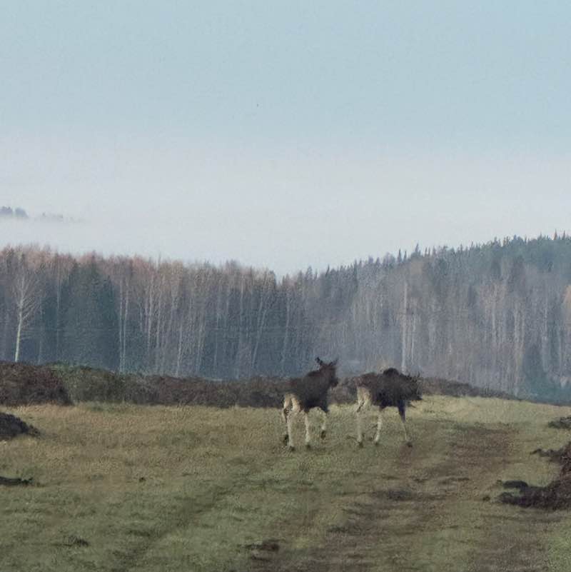 Наталья post 3