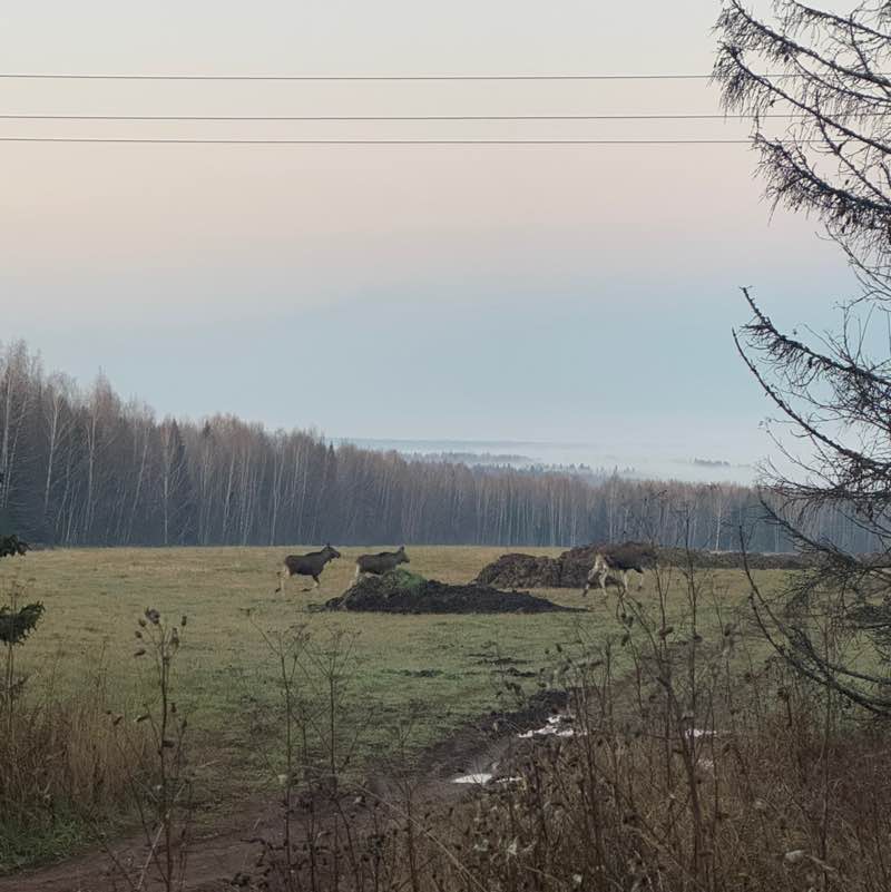 Наталья post 1