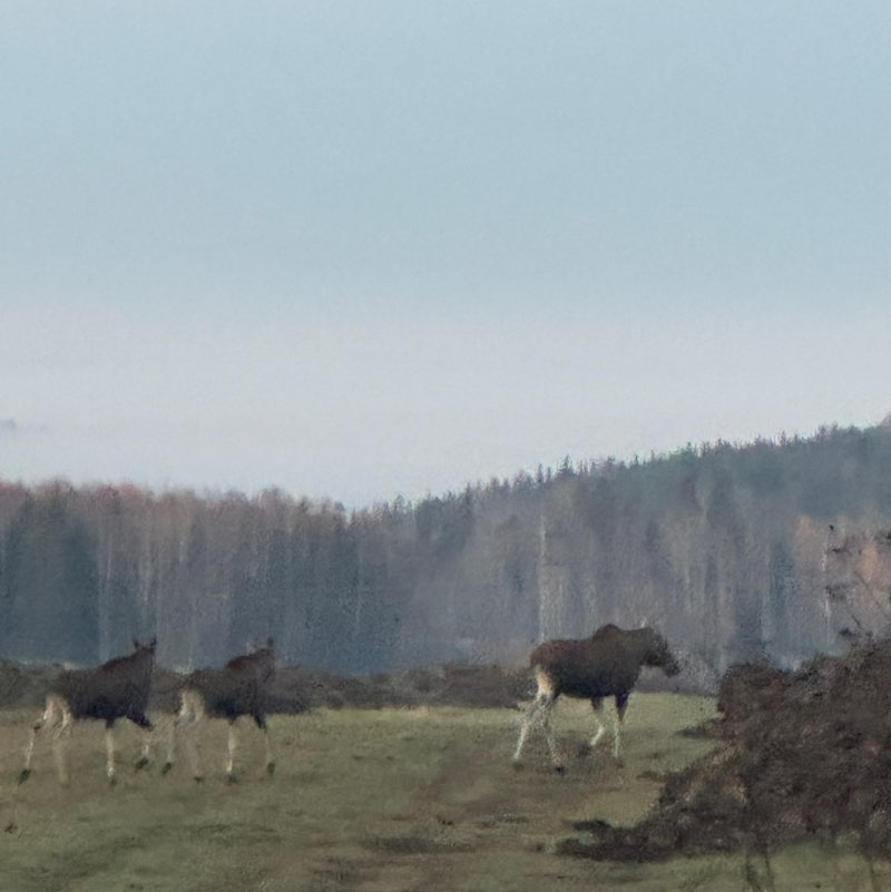 Наталья post 2