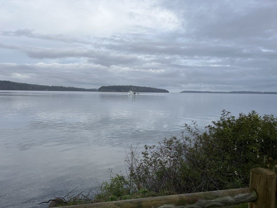 walking near me in Salsbury Point Park in autumn