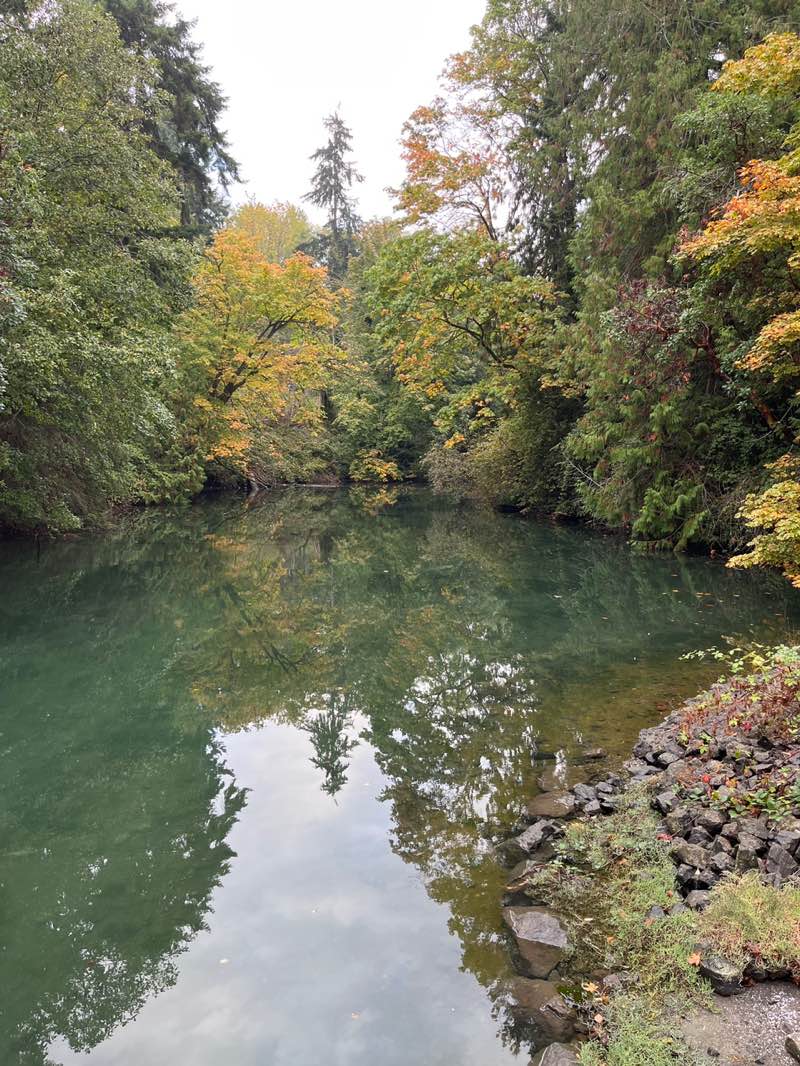 walking near me in Waypoint Woods in autumn